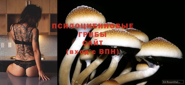 spice Алзамай