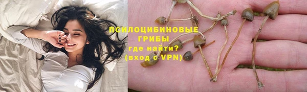 spice Алзамай