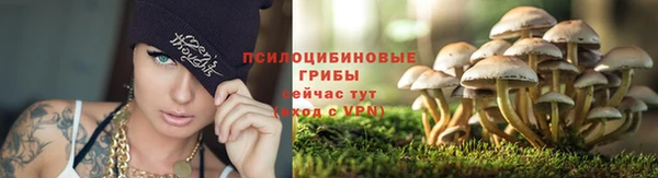 мяу мяу мука Алексеевка