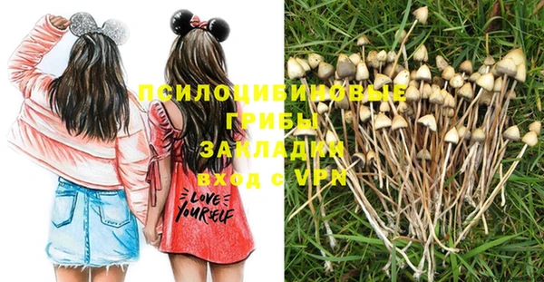 крисы Алексин